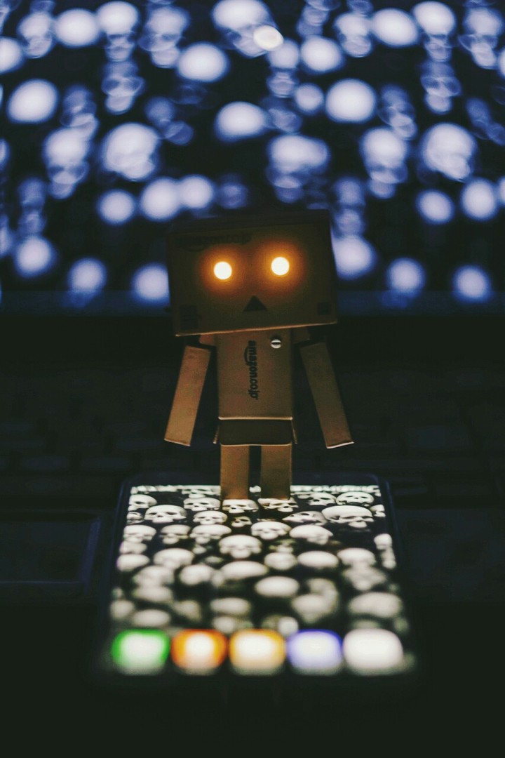Danbo is very strange...