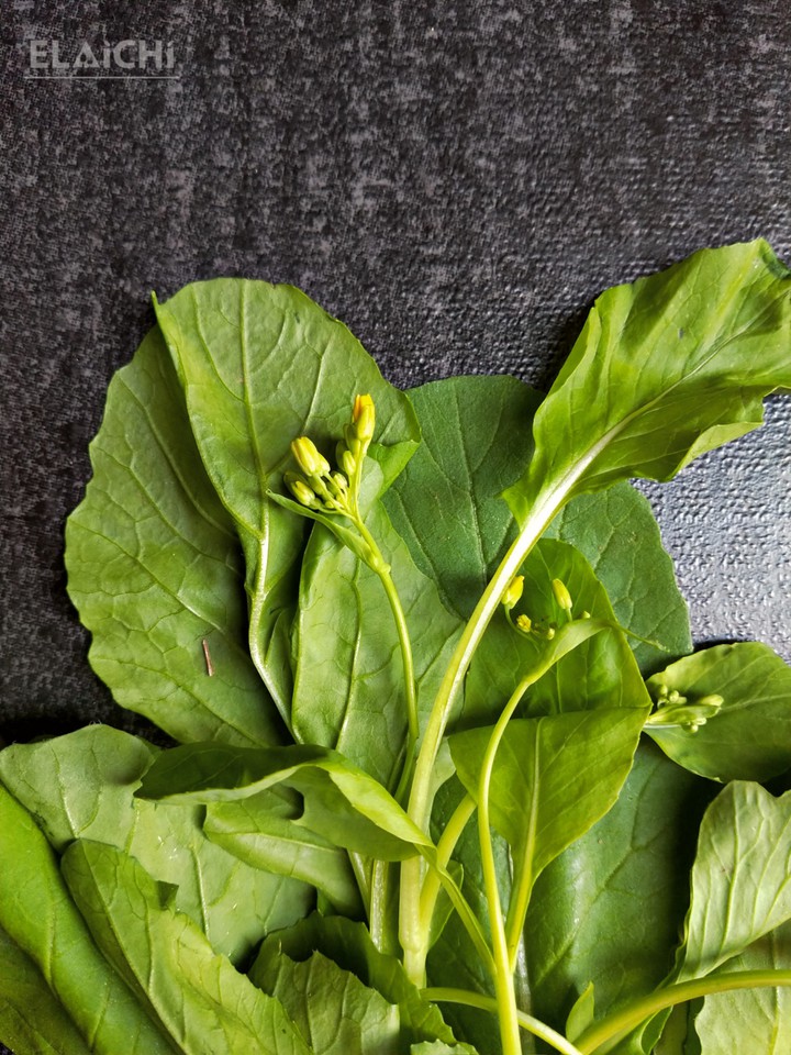Farm Fresh mustard leaves.