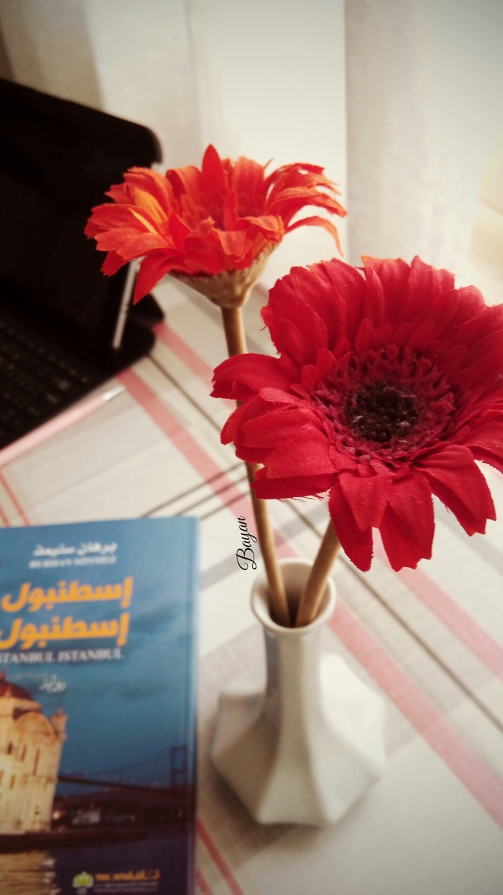 Life is a Book