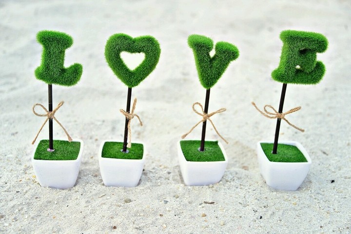 love