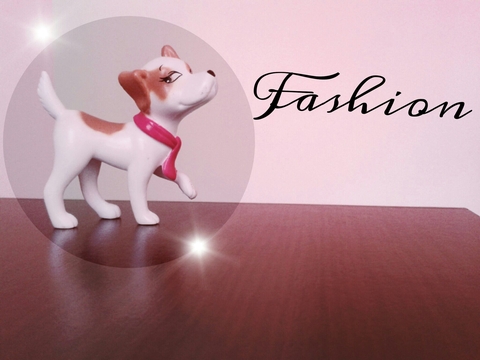 FASHION DOG