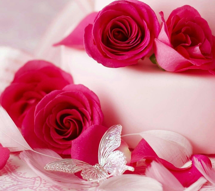 Roses