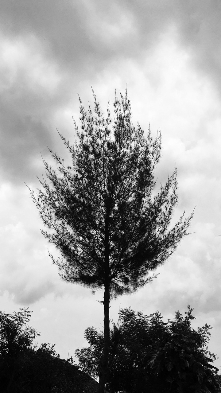 Aiming towards sky