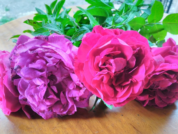 flowers