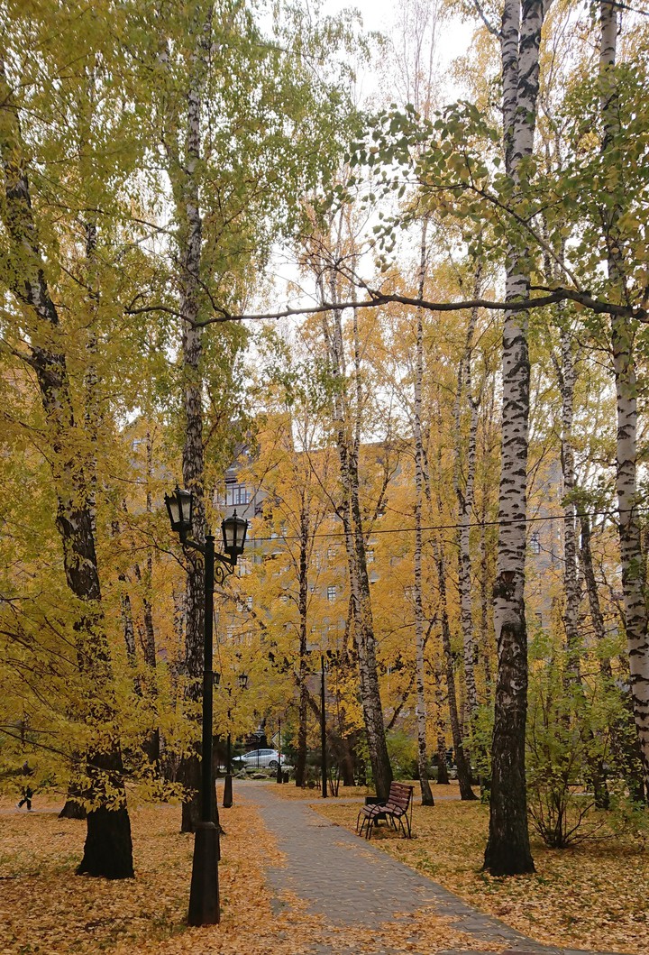 beautiful autumn