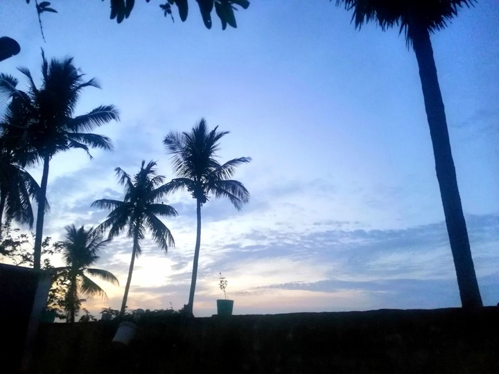 beautiful
