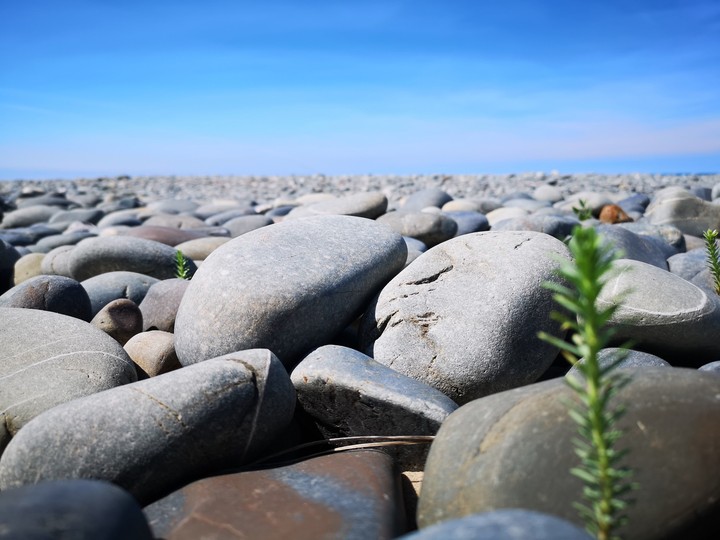 Borth Beach