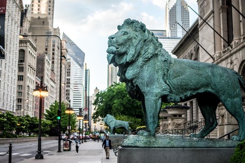 lion in chicago:)