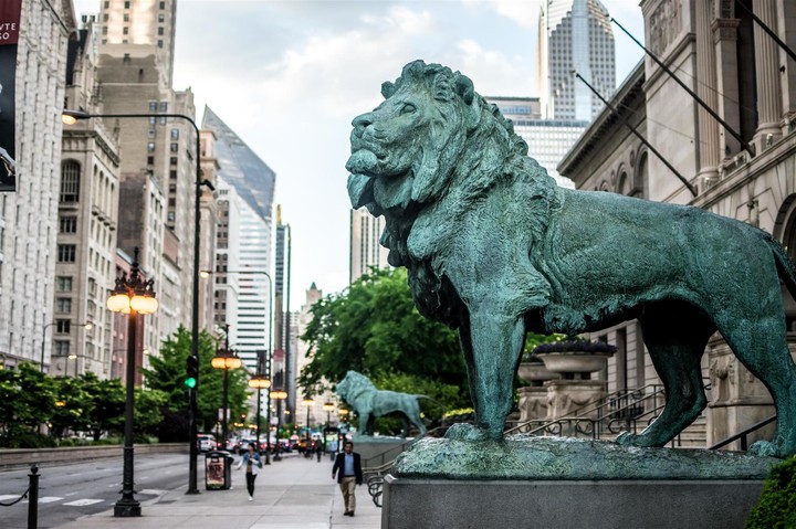lion in chicago:)
