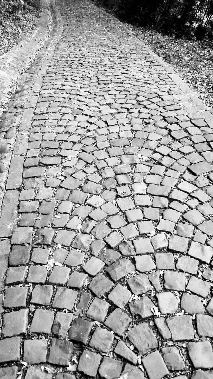 the path