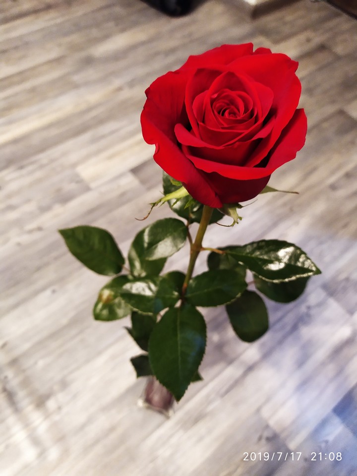 Roses are red violets are blue i can't be happy whitout you.
