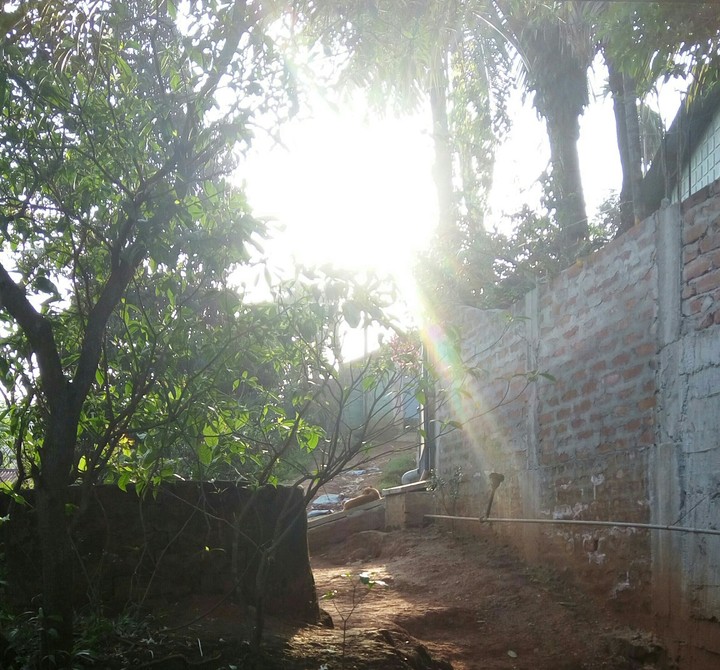Sunshine