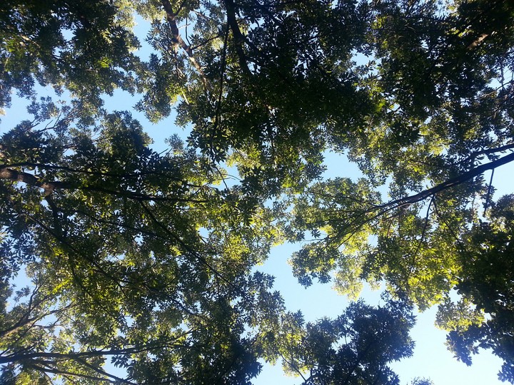 peaceful day