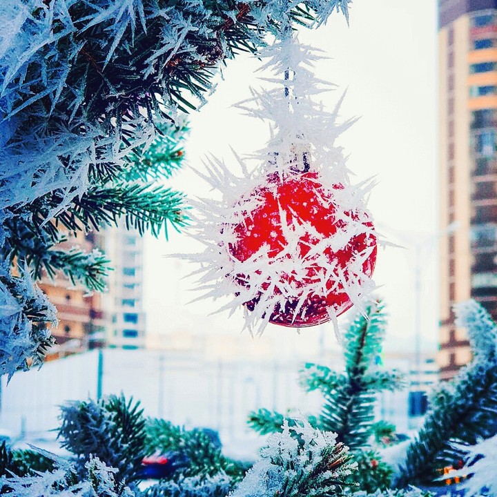 frost