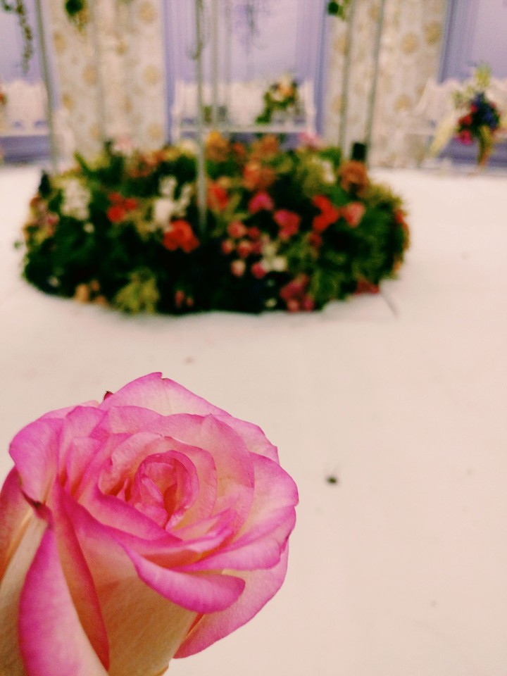 rose decoration