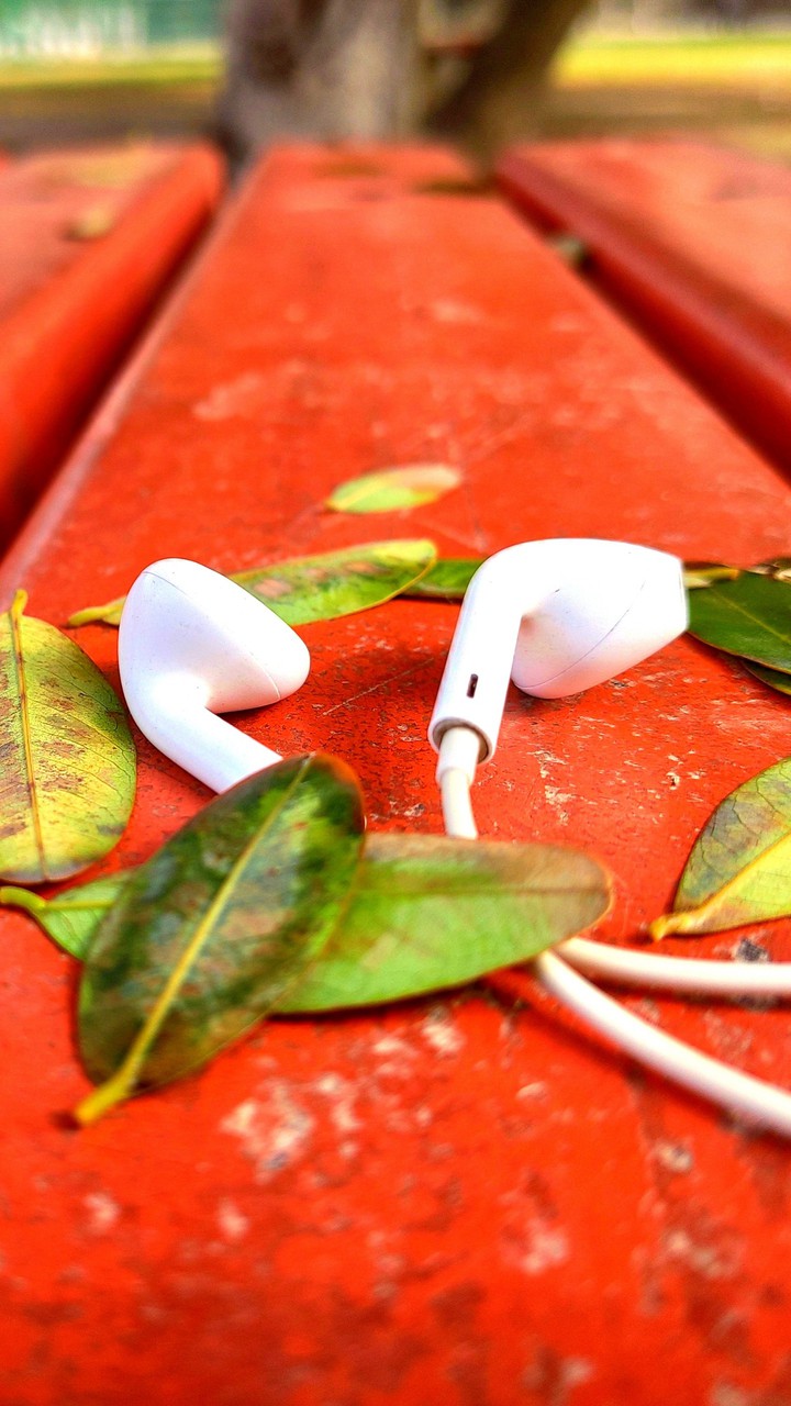 Music,the doctor for soul