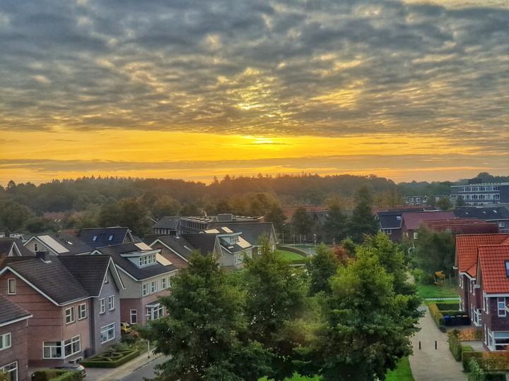 My view early morning
