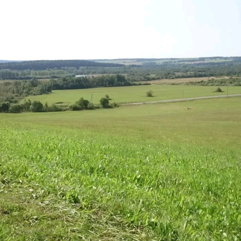 первый день осени