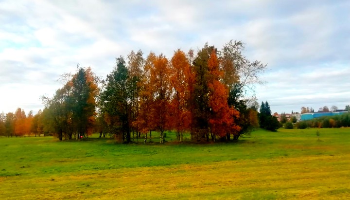 autumn love