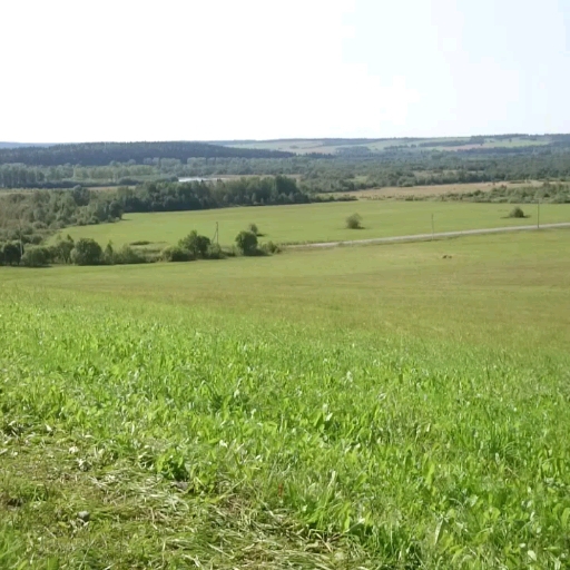 первый день осени