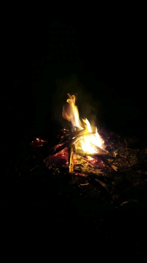 fire