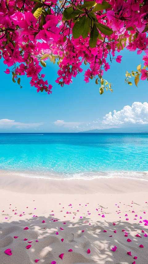 Bougainvillea, tropics वॉलपेपर