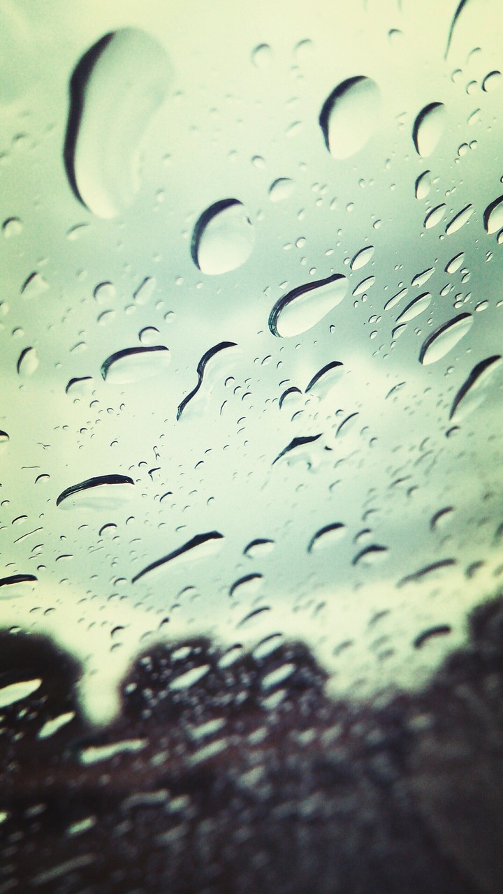 Rain