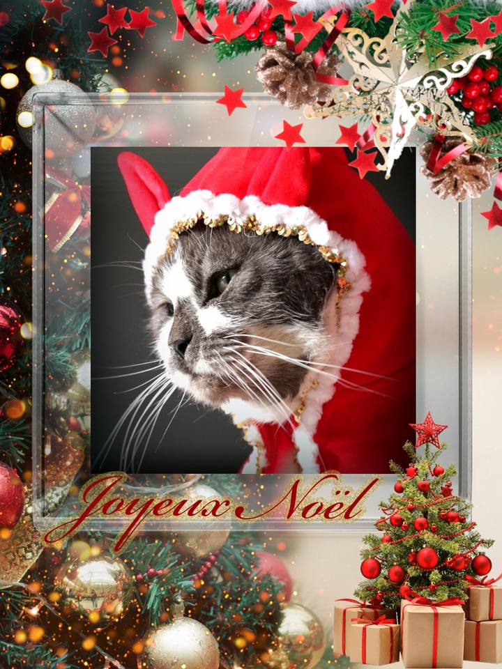 happy christmas