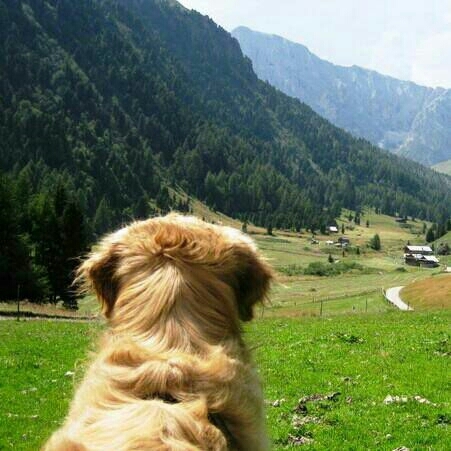 Guardare