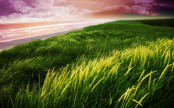NatuRal Grass