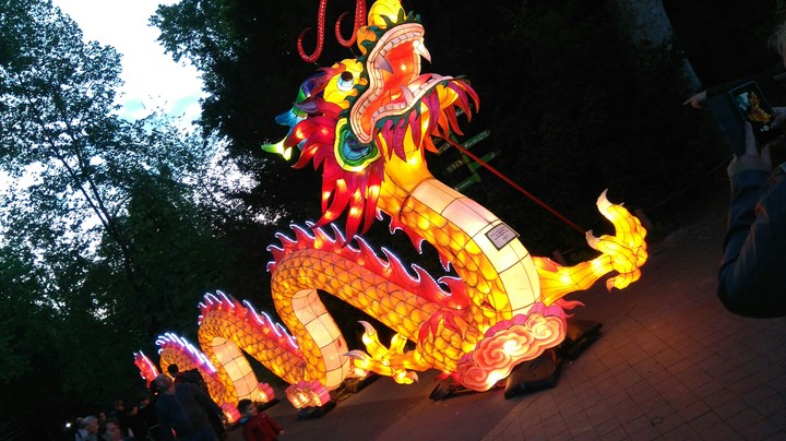Day of lanterns in the zoo