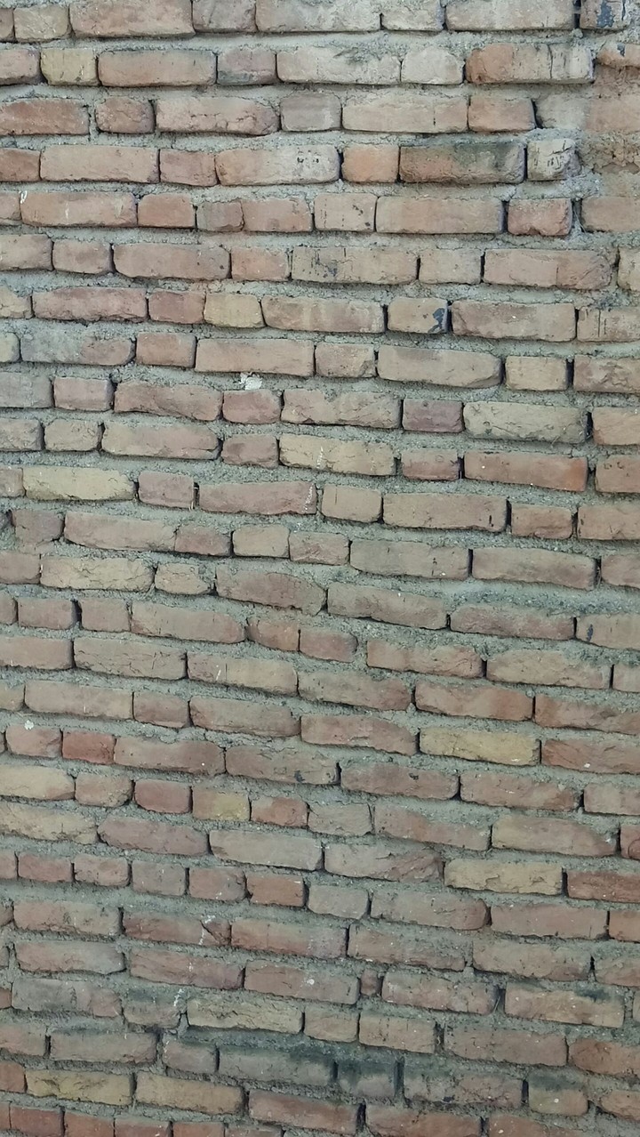 wall
