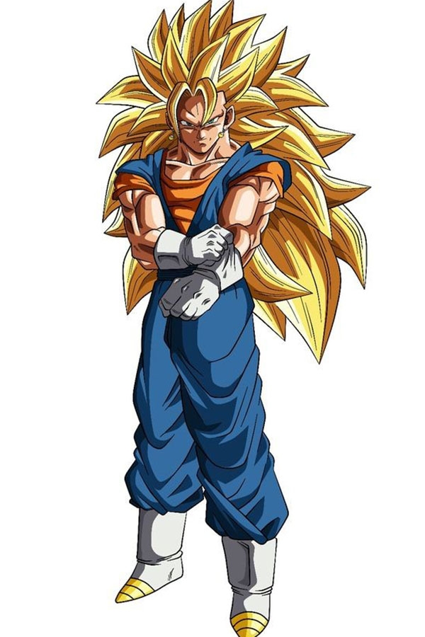 ssj 3 vegetoo