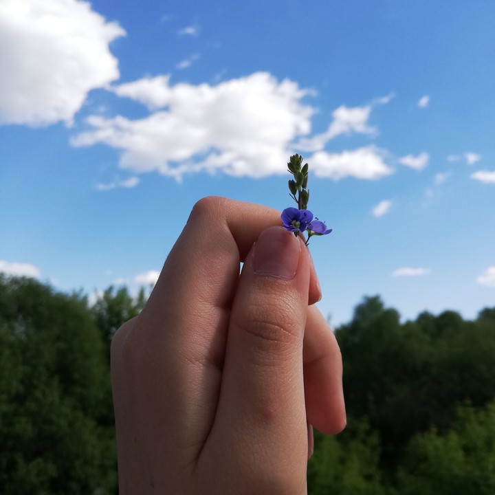nature