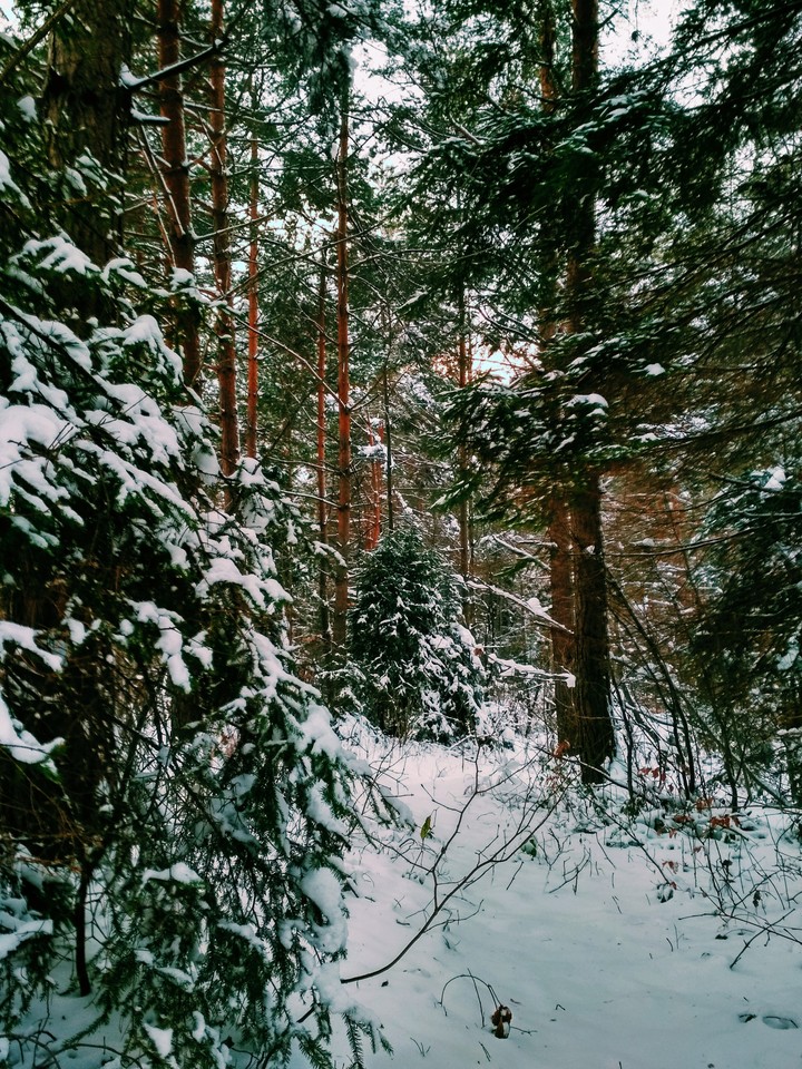 #winter