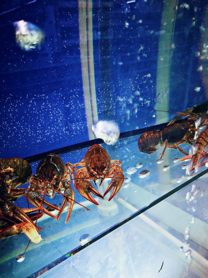 раки