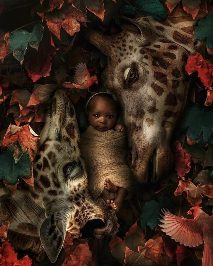 ❤