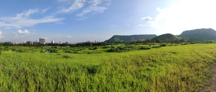 greenery
