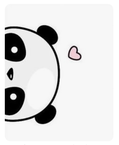 urso fofo