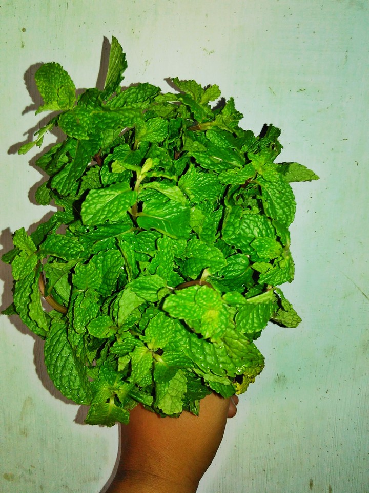 mint