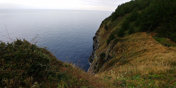 Jukdo Island