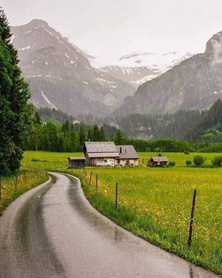 nature