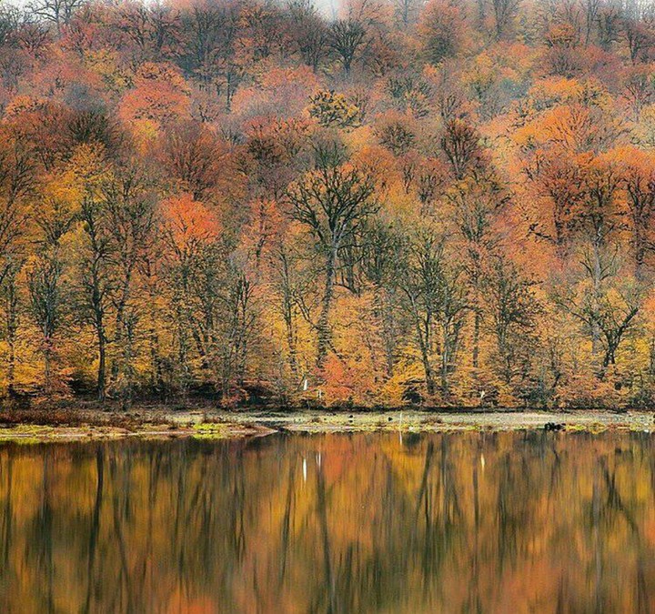 IRAN- autumn