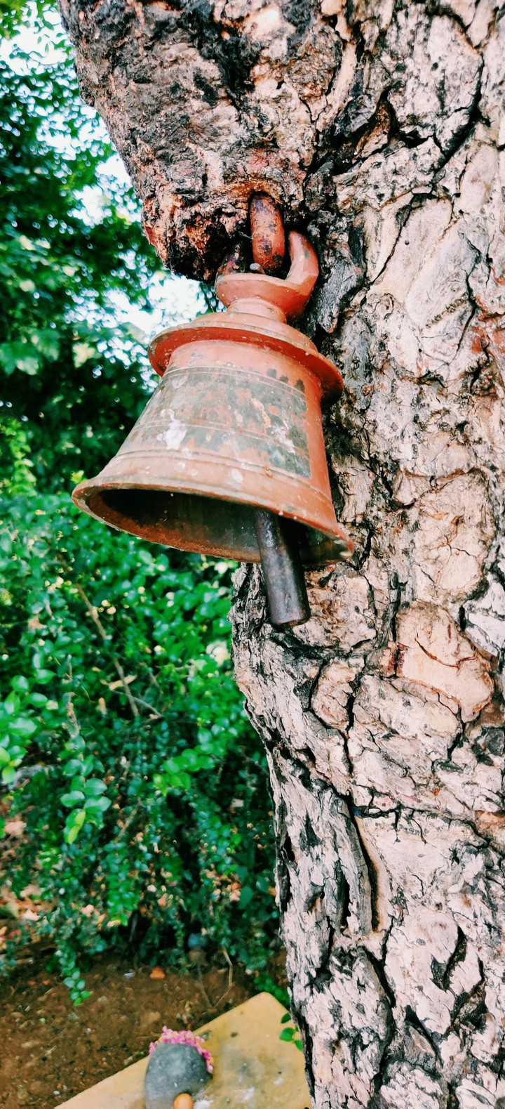 Tree and Bell