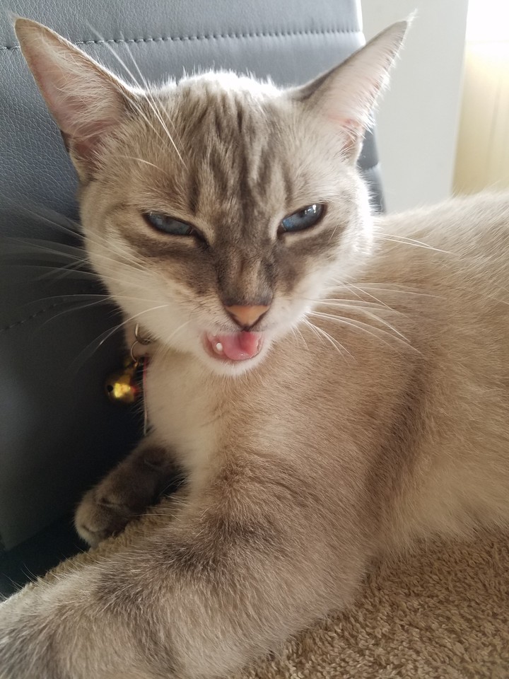 Nina