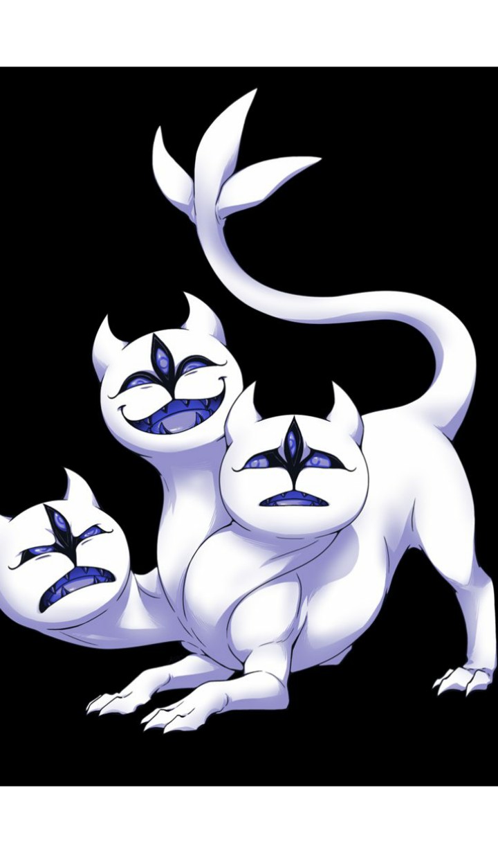 머리세게냥이?