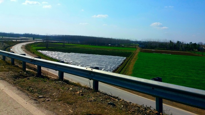 fields
