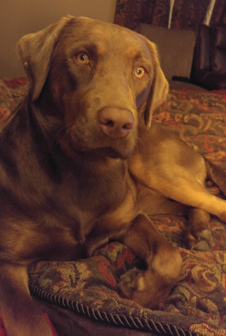 Zoey