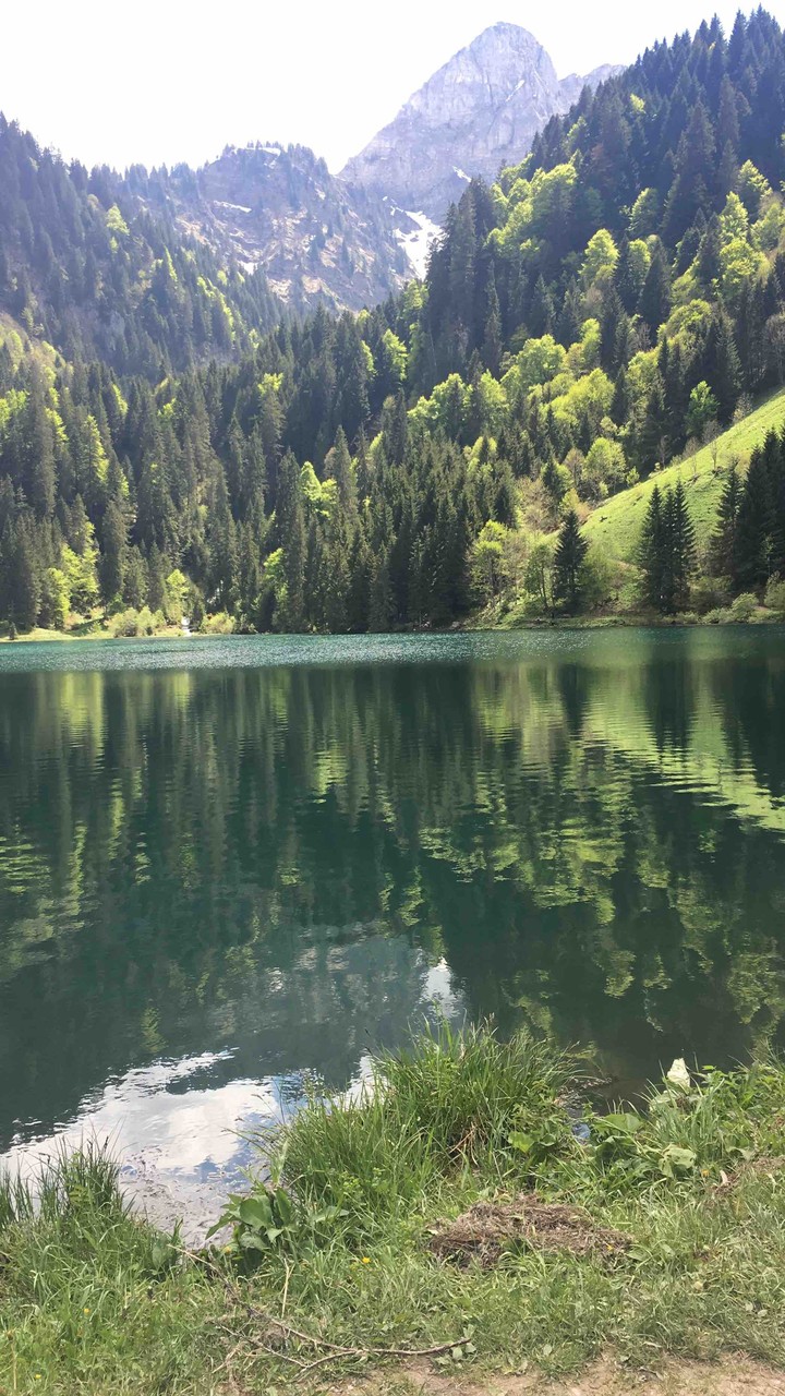 beauty nature
