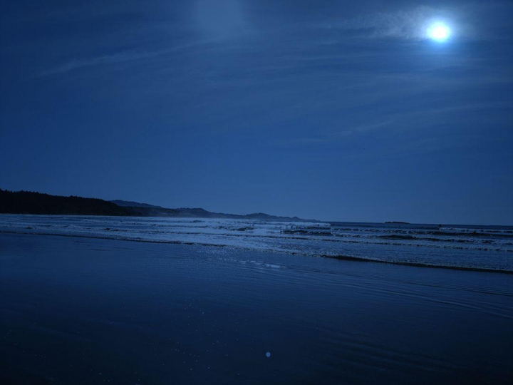 Moonlight
